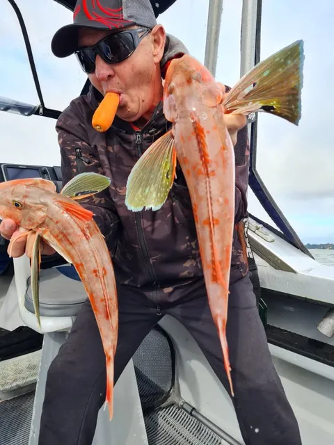 June 2024 All Month Competition - Browns Bay Fishing Club catch photo