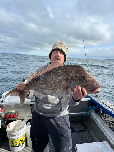 Browns Bay Fishing Club member photo