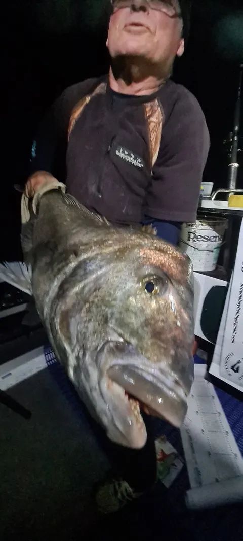 Browns Bay Fishing Club member photo