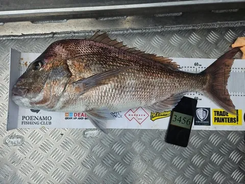 Browns Bay Fishing Club member photo