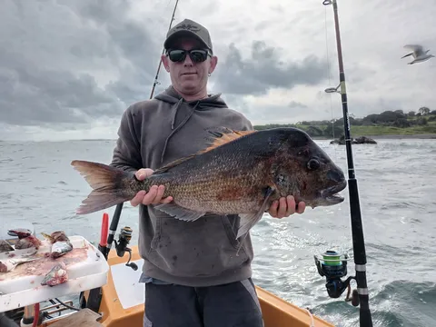 Browns Bay Fishing Club member photo