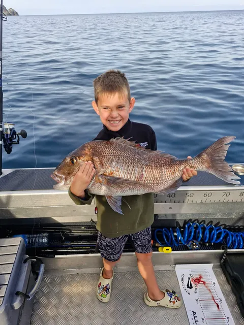 Browns Bay Fishing Club member photo