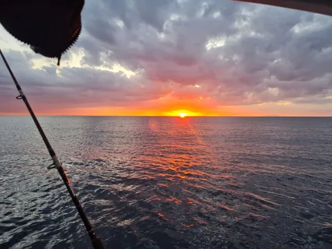 Browns Bay Fishing Club member photo