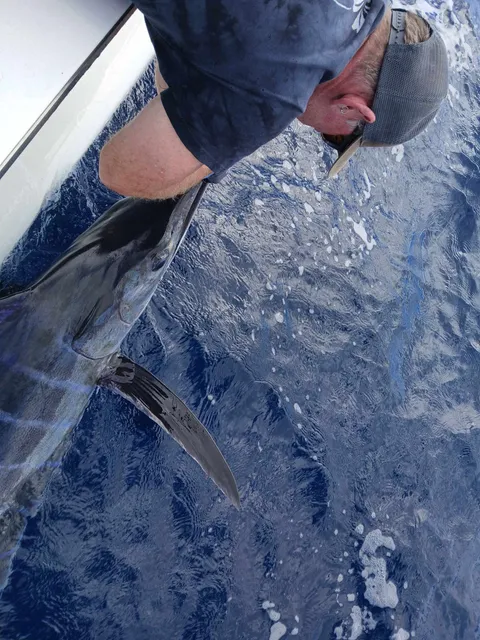 Browns Bay Fishing Club member photo