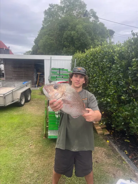 Browns Bay Fishing Club member photo