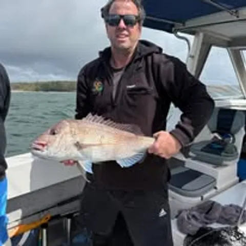 Tokerau Beach One Base 2025 - Browns Bay Fishing Club catch photo