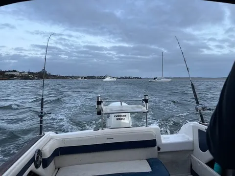 Browns Bay Fishing Club member photo