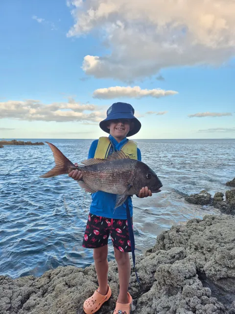 Browns Bay Fishing Club member photo