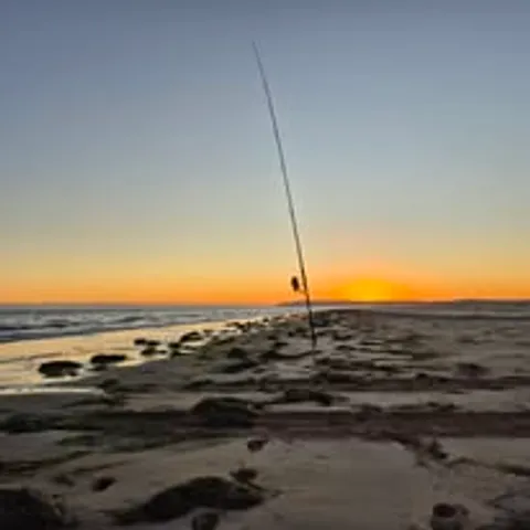 April 2026 Land-Based Competition - Browns Bay Fishing Club catch photo